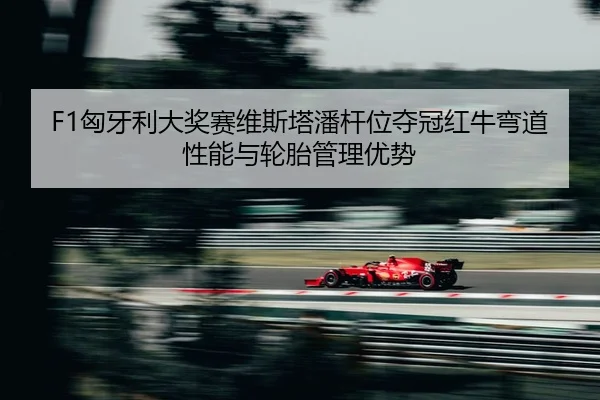 xiong-ya-li-da-jiang-sai-wei-si-ta-pan-gan-wei-duo-guan-hong-niu-wan-dao-xing-neng-yu-lun-tai-guan-li-you-shi-2-388.jpg